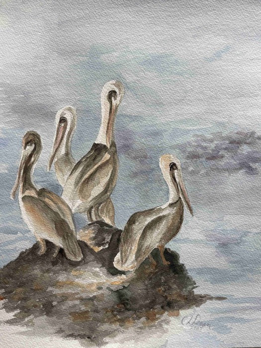 Pelicans on the Rocks, 2024, watercolor on paper, 23 x 18 in. / 58.42 x 45.72 cm.