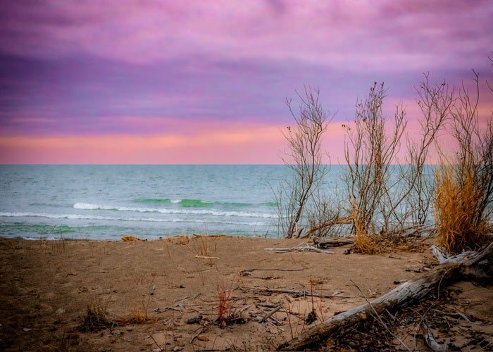 Elegy in Turquoise and Rose, 2025, photography, 10 x 14 in. / 25.4 x 35.56 cm.