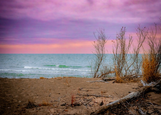 Elegy in Turquoise and Rose, 2025, photography, 10 x 14 in. / 25.4 x 35.56 cm.