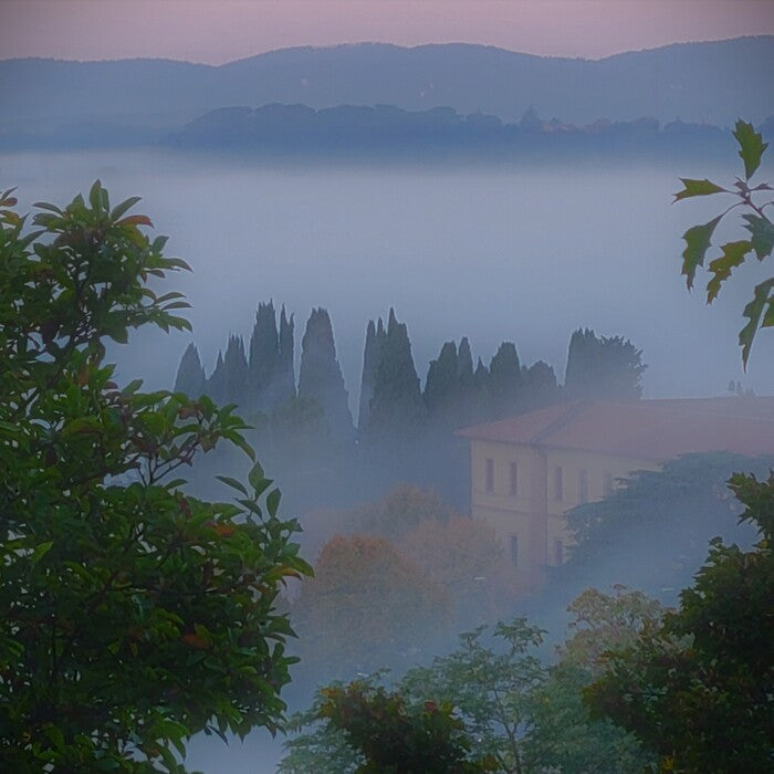 Shangri-La, 2022, photography, 16 x 16 in. / 40.64 x 40.64 cm.