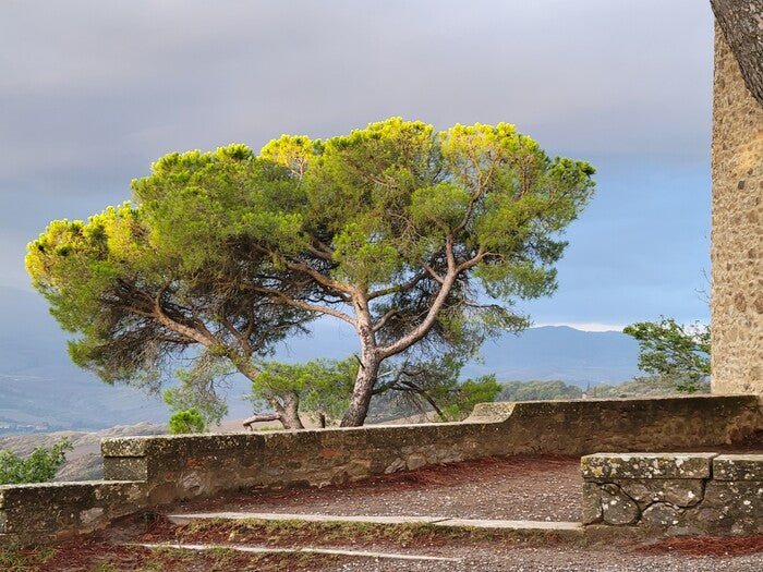 Tuscan Dusk, 2022, photography, 9 x 12 in. / 22.86 x 30.48 cm.