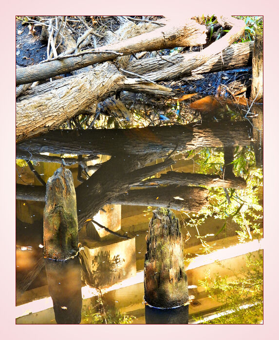 Jumbled Mess Reflection, 2025, digital photography, 22 x 18 in. / 55.88 x 45.72 cm.
