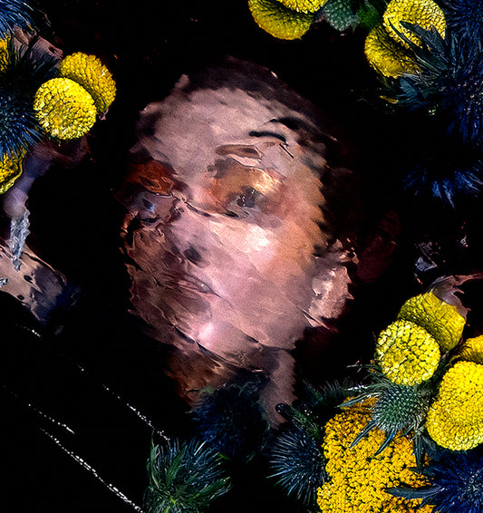 Craspedia Oracle III, 2025, photography, 24 x 18 in. / 60.96 x 45.72 cm.