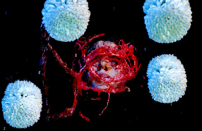Hemorrhagic Oracle II, 2025, photography, 24 x 36 in. / 60.96 x 91.44 cm.