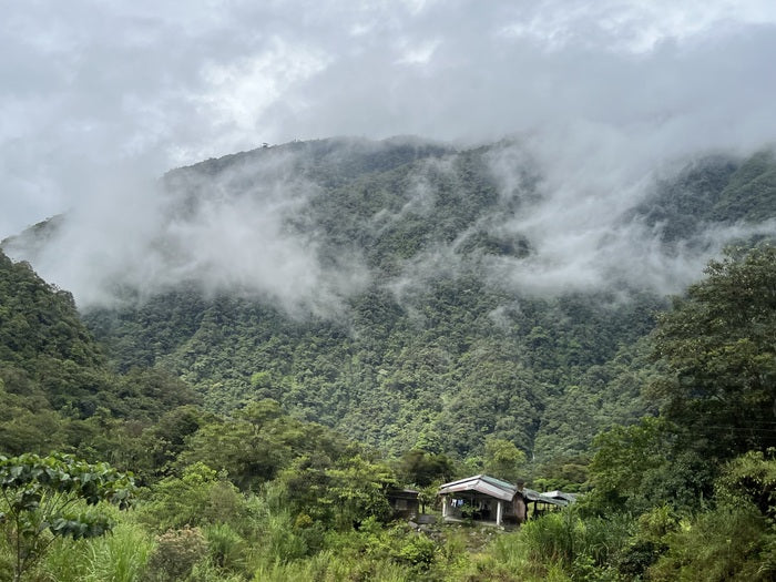 Obliviously Alone in Beauty, 2024, photography, 20 x 16 in. / 50.8 x 40.64 cm.
