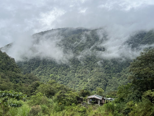 Obliviously Alone in Beauty, 2024, photography, 20 x 16 in. / 50.8 x 40.64 cm.