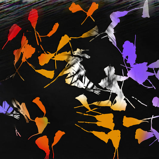 Seeds and Petals, 2025, digital collage, 11 x 11 in. / 27.94 x 27.94 cm.