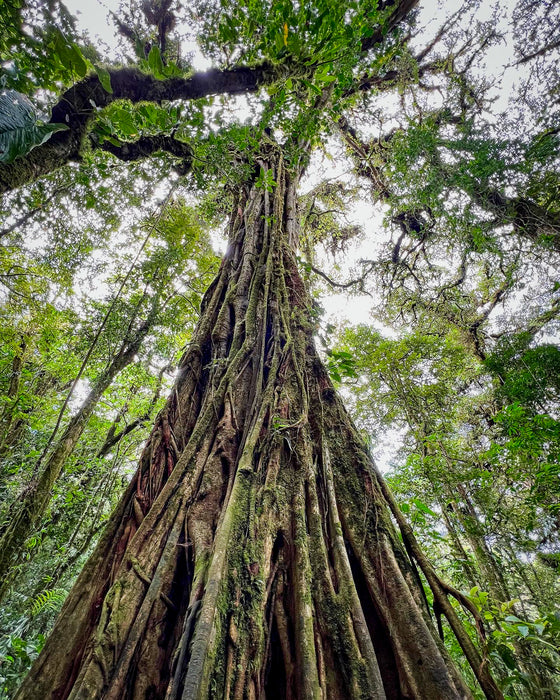 Standing Strong, 2023, photography, 10 x 8 in. / 25.4 x 20.32 cm.