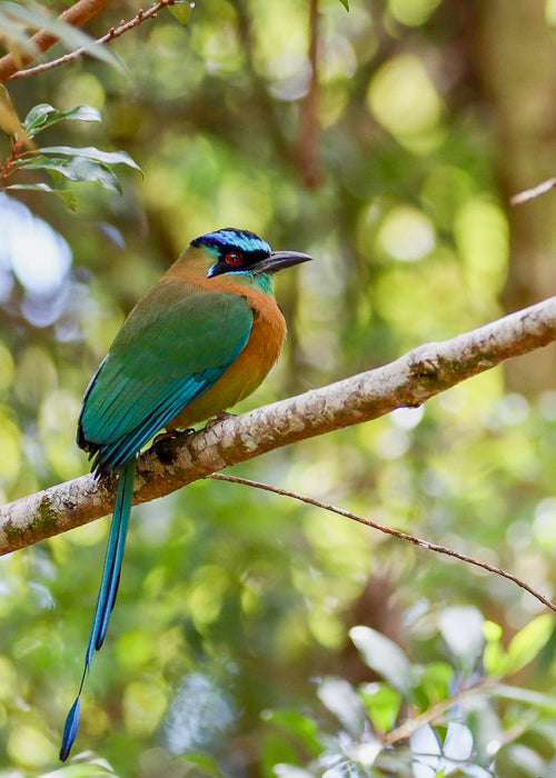 Terminally Unique, 2023, photography, 10 x 8 in. / 25.4 x 20.32 cm.