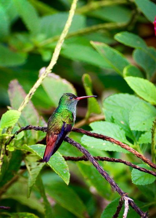 Picturesque, 2022, photography, 10 x 8 in. / 25.4 x 20.32 cm.