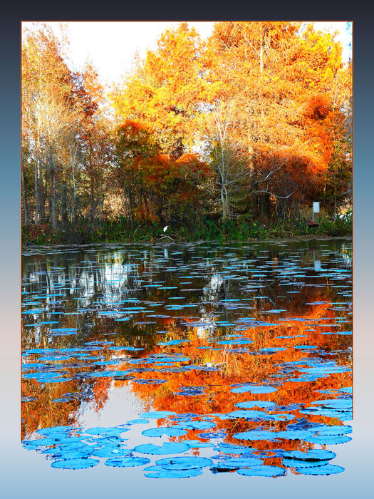 Heather Island Reflection #1, 2025, digital photograph, 24 x 18 in. / 60.96 x 45.72 cm.