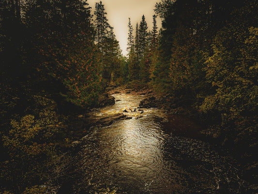 A Witness to the Glow That Lingers, 2025, canvas print with pigment inks, 21 x 27 in. / 53.34 x 68.58 cm.