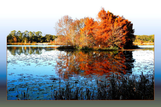 Heather Island Reflection #2, 2025, digital photograph, 16 x 24 in. / 40.64 x 60.96 cm.