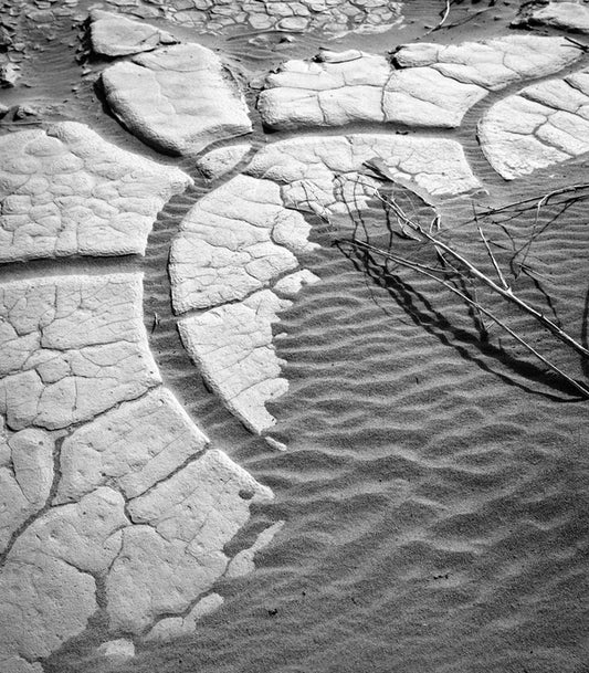 Sans Requiem XV, 2025, analog photography, 14 x 11 in. / 35.56 x 27.94 cm.