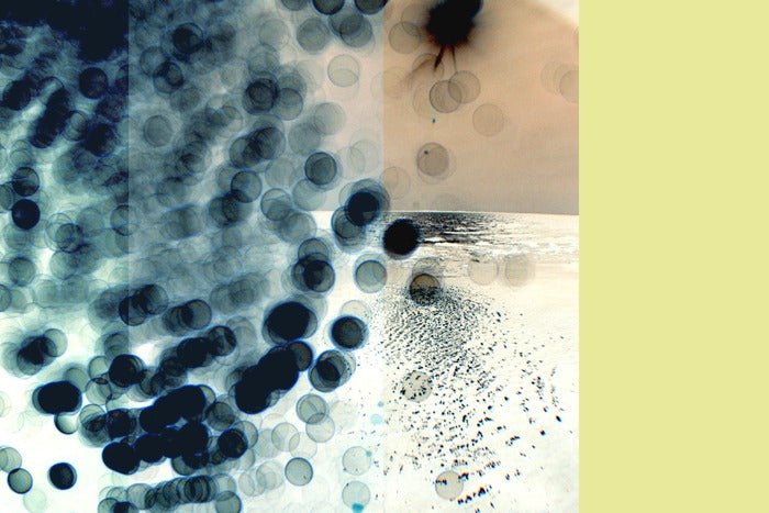 Transitory Space, Nantucker #1, 2025, photography, 11 x 14 in. / 27.94 x 35.56 cm.