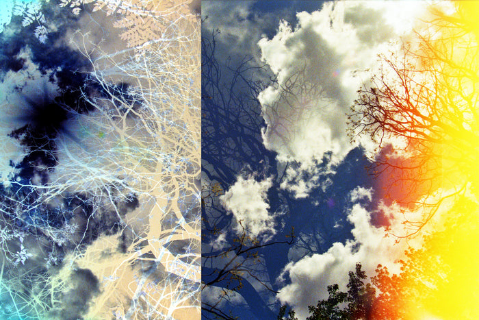 Transitory Space, Prospect Park, Brooklyn, NYC #9, 2022, color photography, 11 x 14 in. / 27.94 x 35.56 cm.