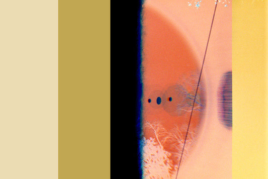 Transitory Space, Prospect Park, Brooklyn, NYC #8B, 2022, color photography, 11 x 14 in. / 27.94 x 35.56 cm.