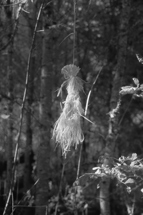 Untitled 07 (To a Land Unknown), 2025, inkjet print, 13 x 19 in. / 33.02 x 48.26 cm.