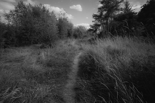 Untitled 08 (To a Land Unknown), 2024, inkjet print, 13 x 19 in. / 33.02 x 48.26 cm.