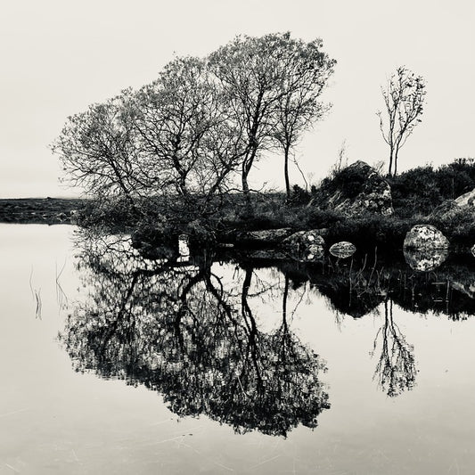 The Mirror, 2025, digital photography, 60 x 60 cm. / 23.62 x 23.62 in.