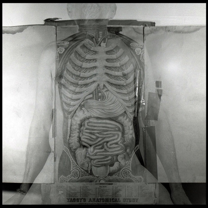 THE BODY II, 2020, photography, 14 x 14 in. / 35.56 x 35.56 cm.