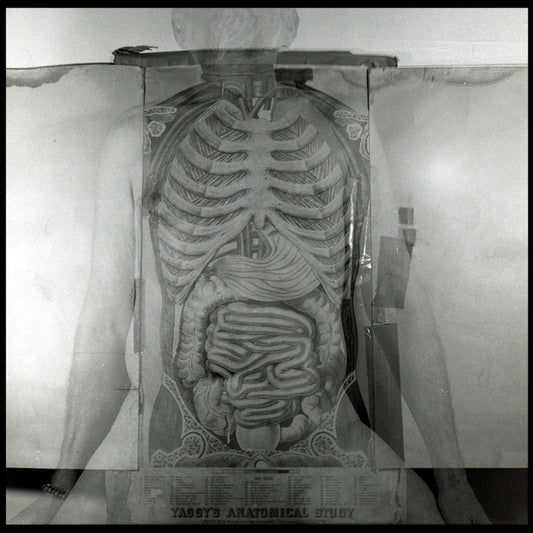 THE BODY II, 2020, photography, 14 x 14 in. / 35.56 x 35.56 cm.