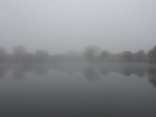 Remembered Neighborhood, 2025, print, 20 x 24 in. / 50.8 x 60.96 cm.