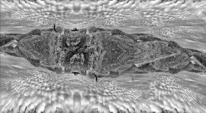 You Are Not Alone In This Floating World, 2026, archival pigment print, 44 x 80 in. / 111.76 x 203.2 cm.