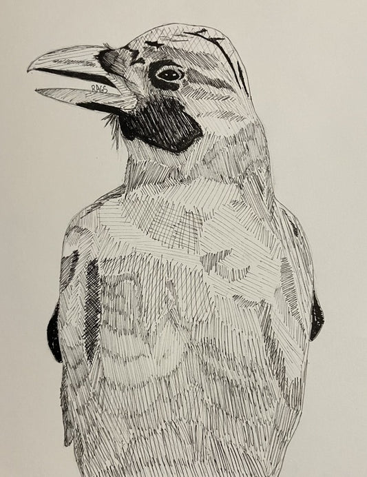 "You Lookin' At Me?", 2026, pen on paper, 7 x 6 in. / 17.78 x 15.24 cm.