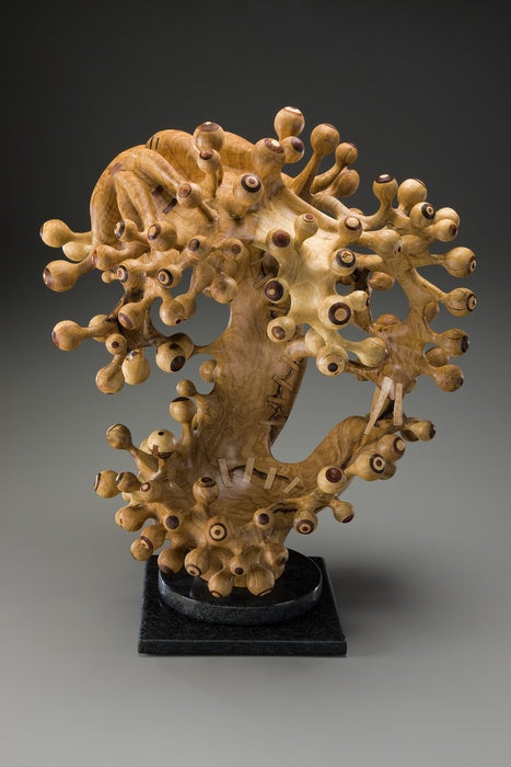 Acer Surgo, 2012, wood, 38 x 29 x 28 in. / 96.52 x 73.66 x 71.12 cm.