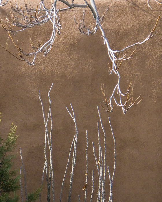 Albuquerque Wall, 2026, ultrachrome print, 8 x 10 in. / 20.32 x 25.4 cm.