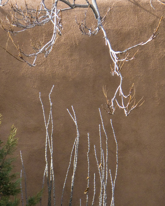 Albuquerque Wall, 2026, ultrachrome print, 8 x 10 in. / 20.32 x 25.4 cm.