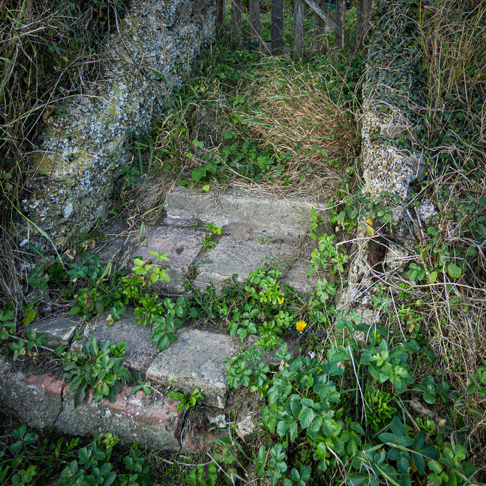 Entropy's Progress, 2026, photography, 8 x 8 in. / 20.32 x 20.32 cm.
