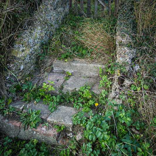 Entropy's Progress, 2026, photography, 8 x 8 in. / 20.32 x 20.32 cm.