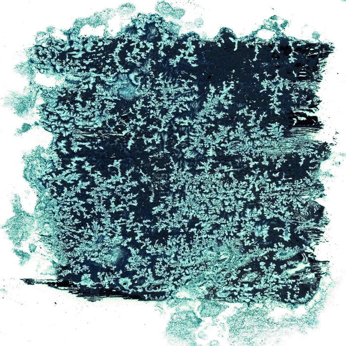 IMAGINATIVE NUGGETS, 2026, digital media, 15 x 15 in. / 38.1 x 38.1 cm.
