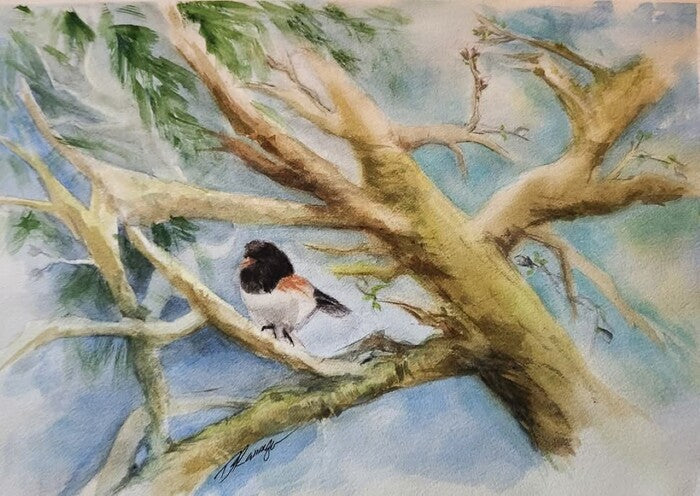 Winter, 2025, watercolor, 9 x 12 in. / 22.86 x 30.48 cm.