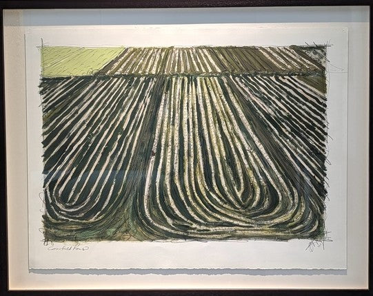 Cornfield Rows, 2014, oil and pencil on paper, 26 x 18 in. / 66.04 x 45.72 cm.