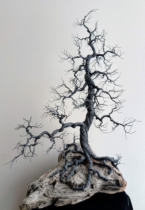 Utah Juniper on Drift, 2026, wire tree sculpture on wood, 12 x 12 x 10 in. / 30.48 x 30.48 x 25.4 cm.