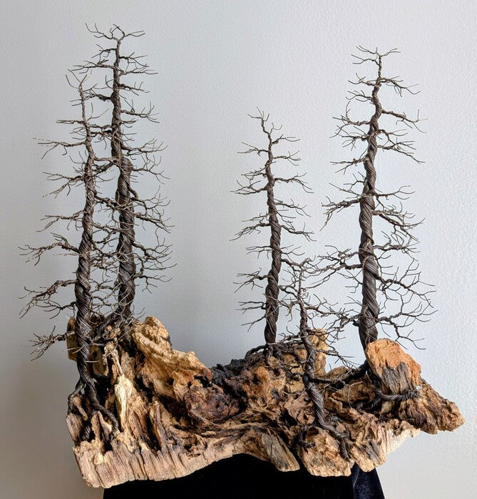 Mountainside Chaos, 2026, wire tree sculpture on wood, 11 x 12 x 10 in. / 27.94 x 30.48 x 25.4 cm.