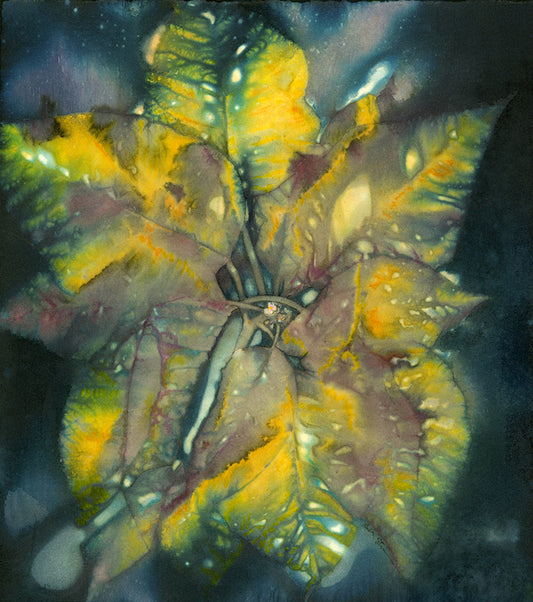 Poinsettia Impression, 2026, echo print, 11 x 10 in. / 27.94 x 25.4 cm.