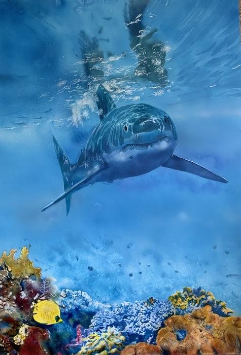 Great White Reef, 2024, mixed media, 18 x 12 in. / 45.72 x 30.48 cm.