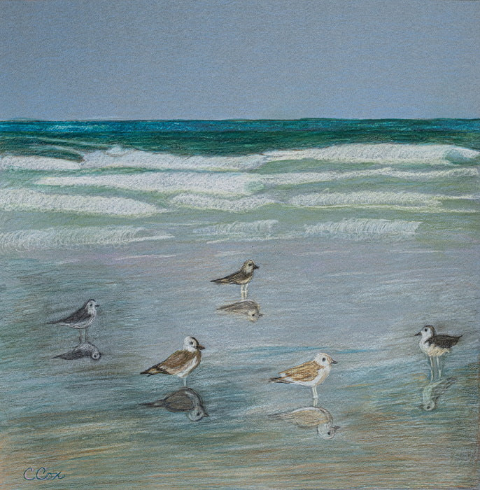 Sunning Seagulls, 2026, colored pencil, 12 x 12 in. / 30.48 x 30.48 cm.