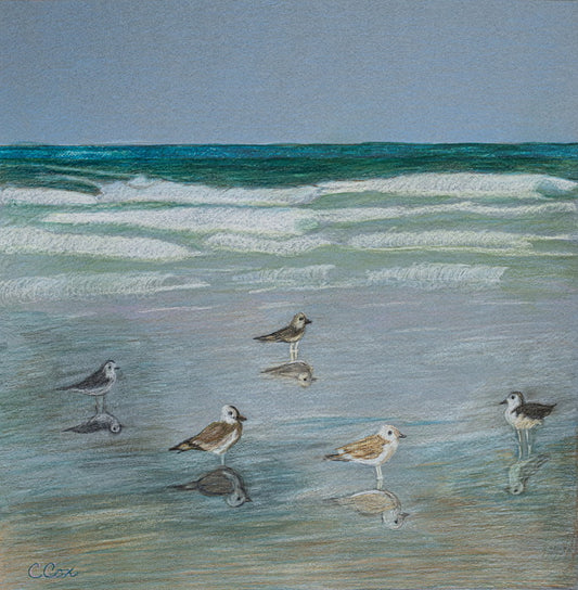 Sunning Seagulls, 2026, colored pencil, 12 x 12 in. / 30.48 x 30.48 cm.