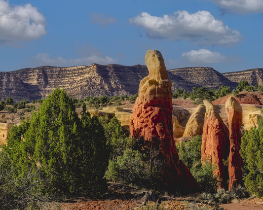 Madonna of the Desert, 2025, archival print, 16 x 20 in. / 40.64 x 50.8 cm.