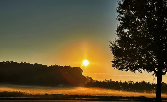 Morning Glow, 2025, digital photography, 6 x 9 in. / 15.24 x 22.86 cm.