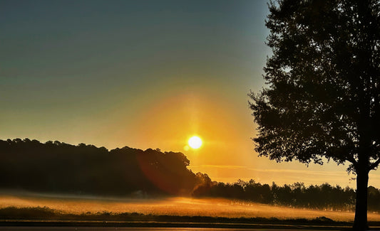 Morning Glow, 2025, digital photography, 6 x 9 in. / 15.24 x 22.86 cm.