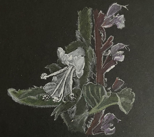 Beautiful Remains, 2026, charcoal, 4 x 4 in. / 10.16 x 10.16 cm.