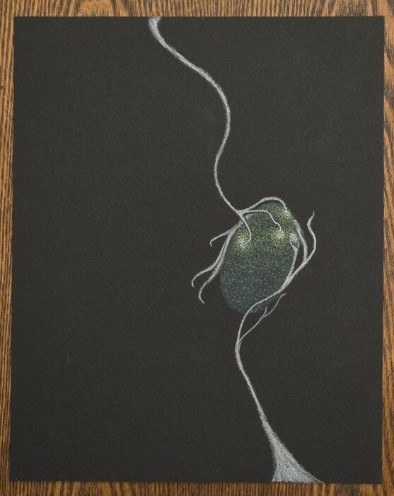 Figure 5, 2026, illustration color pencil on paper, 10 x 8 in. / 25.4 x 20.32 cm.