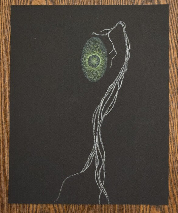Figure 112, 2025, colored pencil on paper, 10 x 8 in. / 25.4 x 20.32 cm.