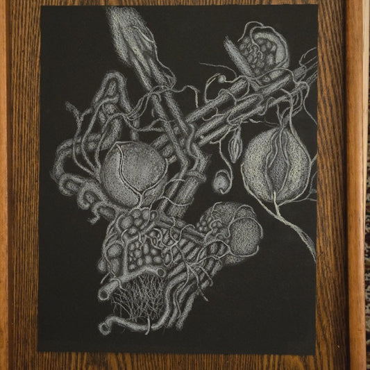 Figure 114, 2025, colored pencil on paper, 10 x 8 in. / 25.4 x 20.32 cm.